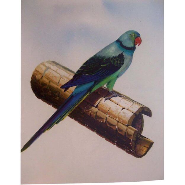 Original Parakeet Bird Painting Vlido Polikarpus full 2 720 15