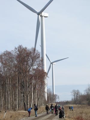 wind mill pakri